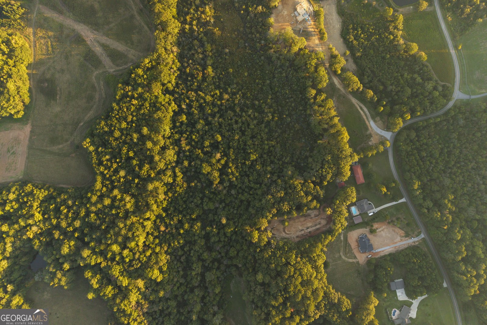 217 Forrester Cemetery Road Covington - Photo 43