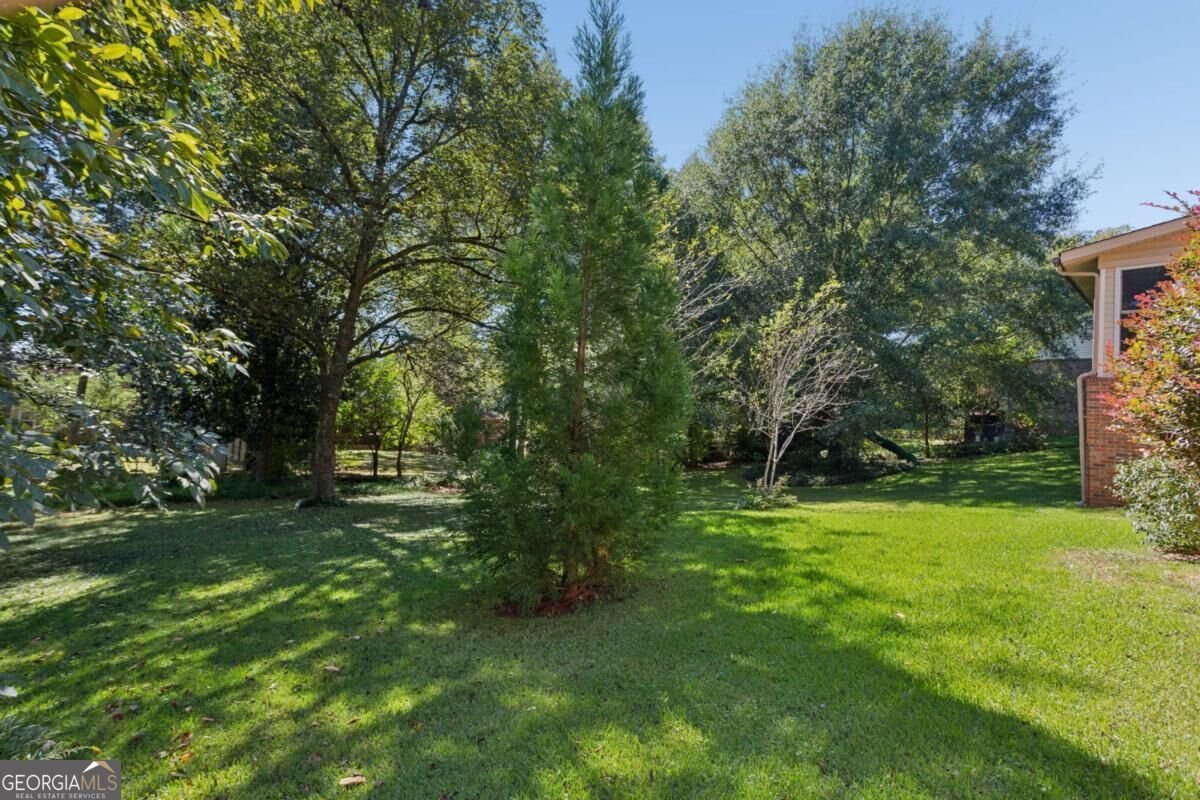 2458 Emory Lane Marietta - Photo 52