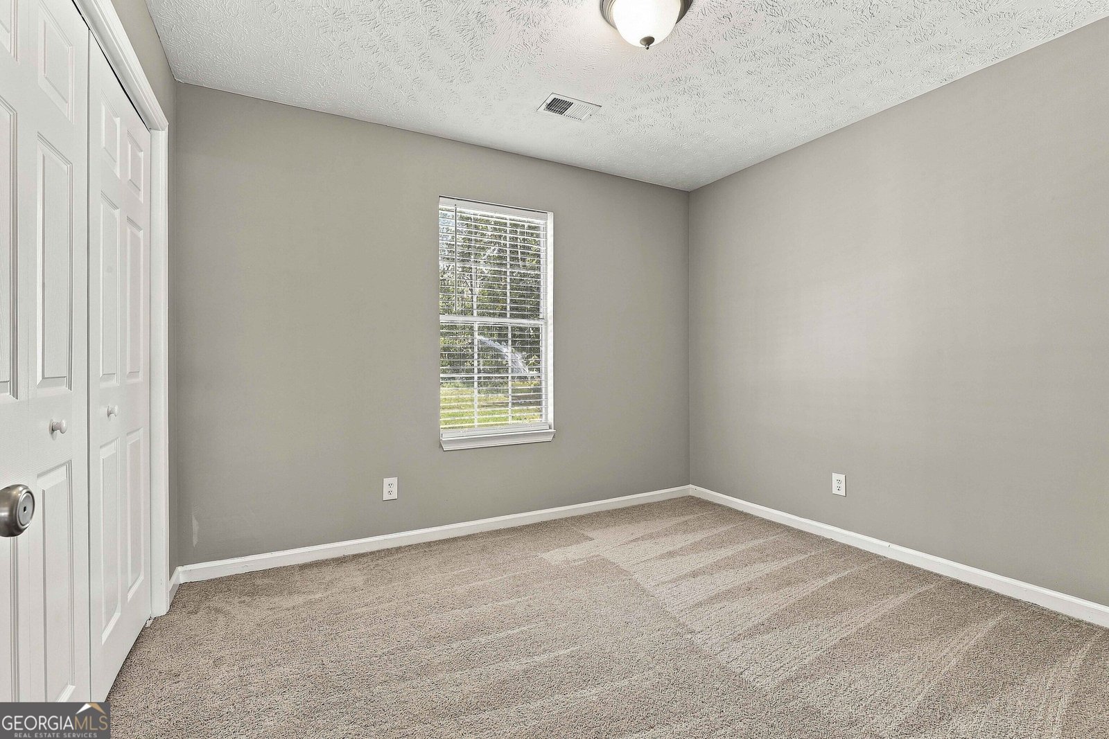 200 Prestigious Place Senoia - Photo 24