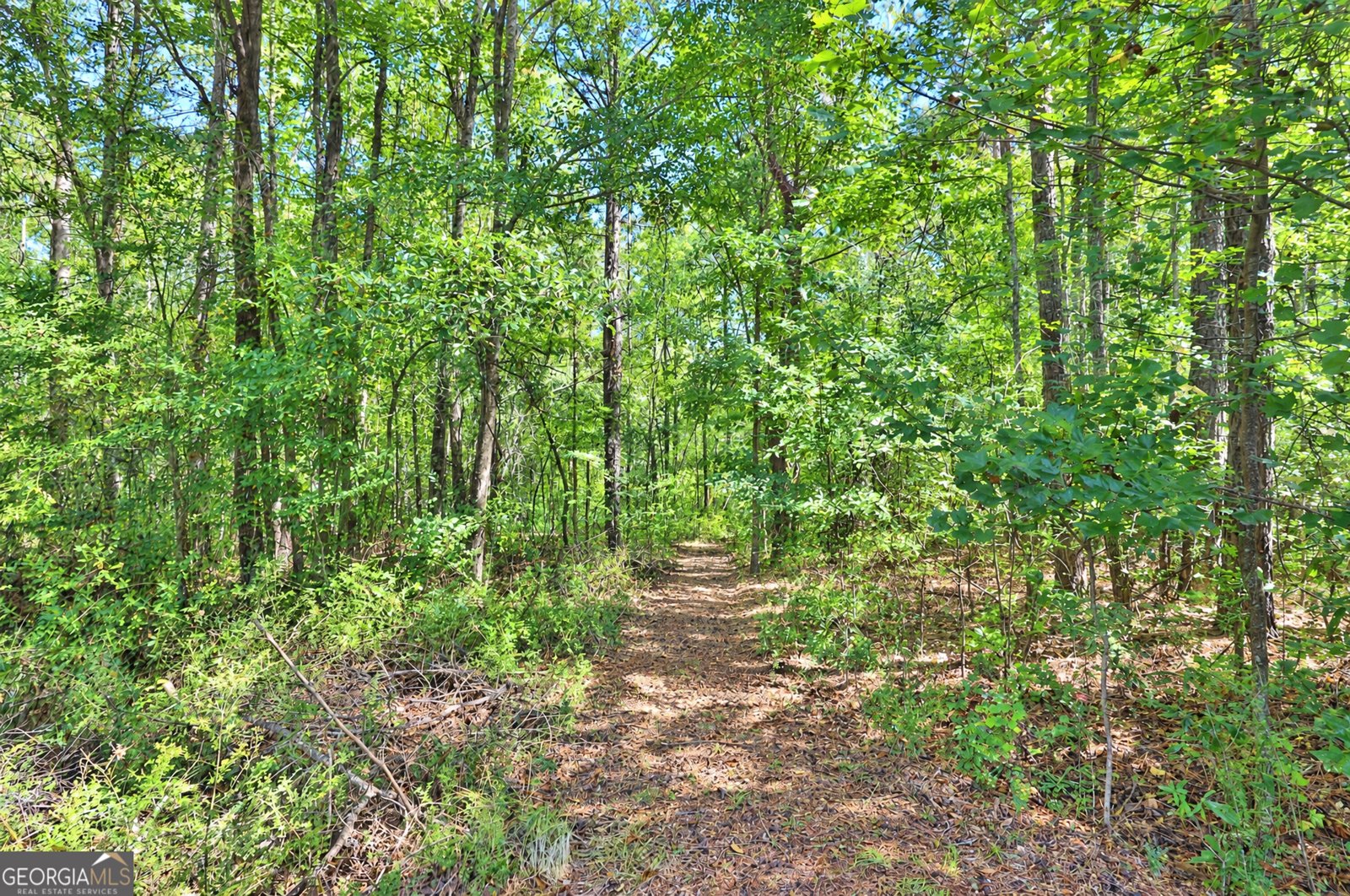 200 Prestigious Place Senoia - Photo 37