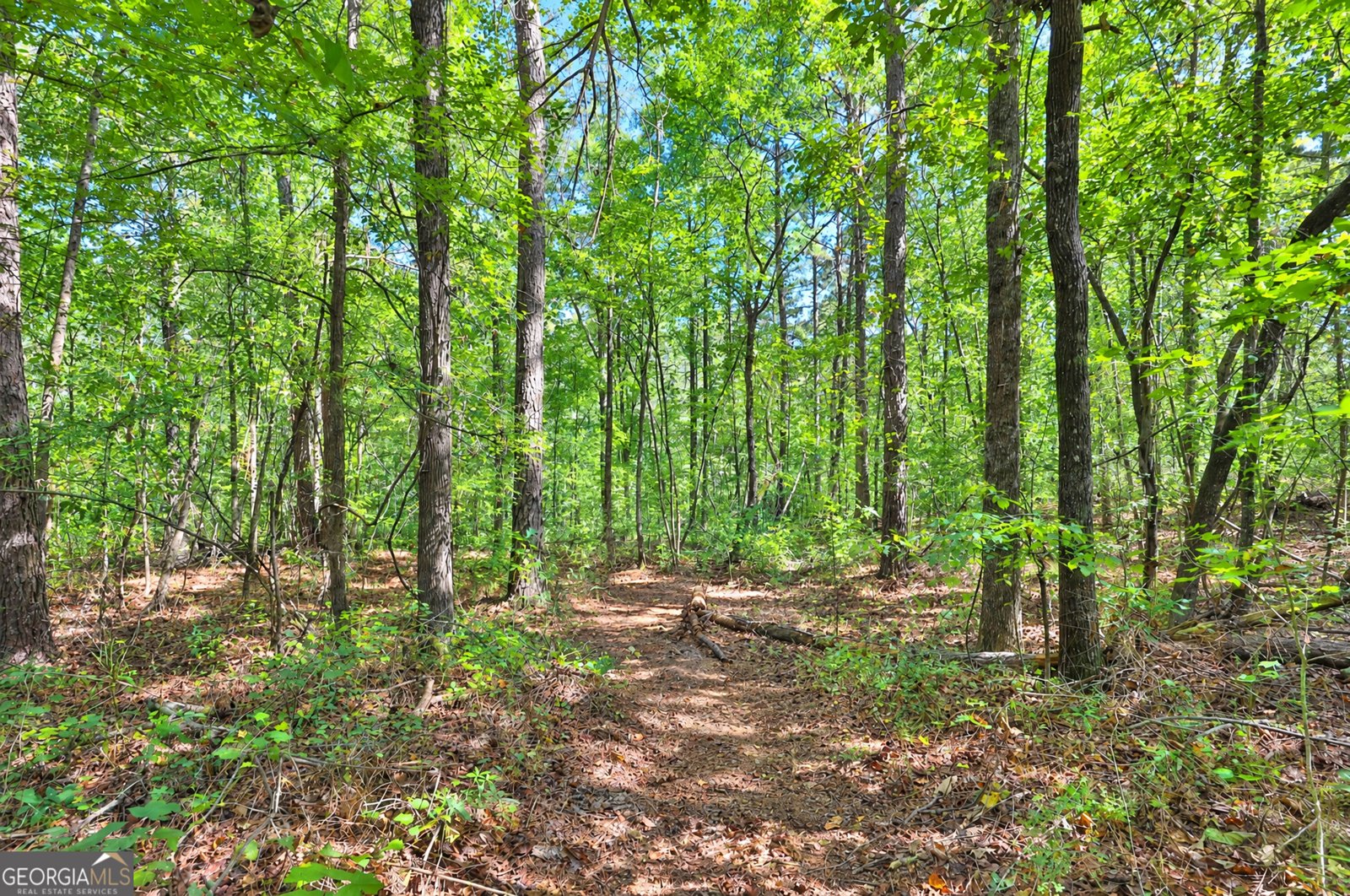 200 Prestigious Place Senoia - Photo 38