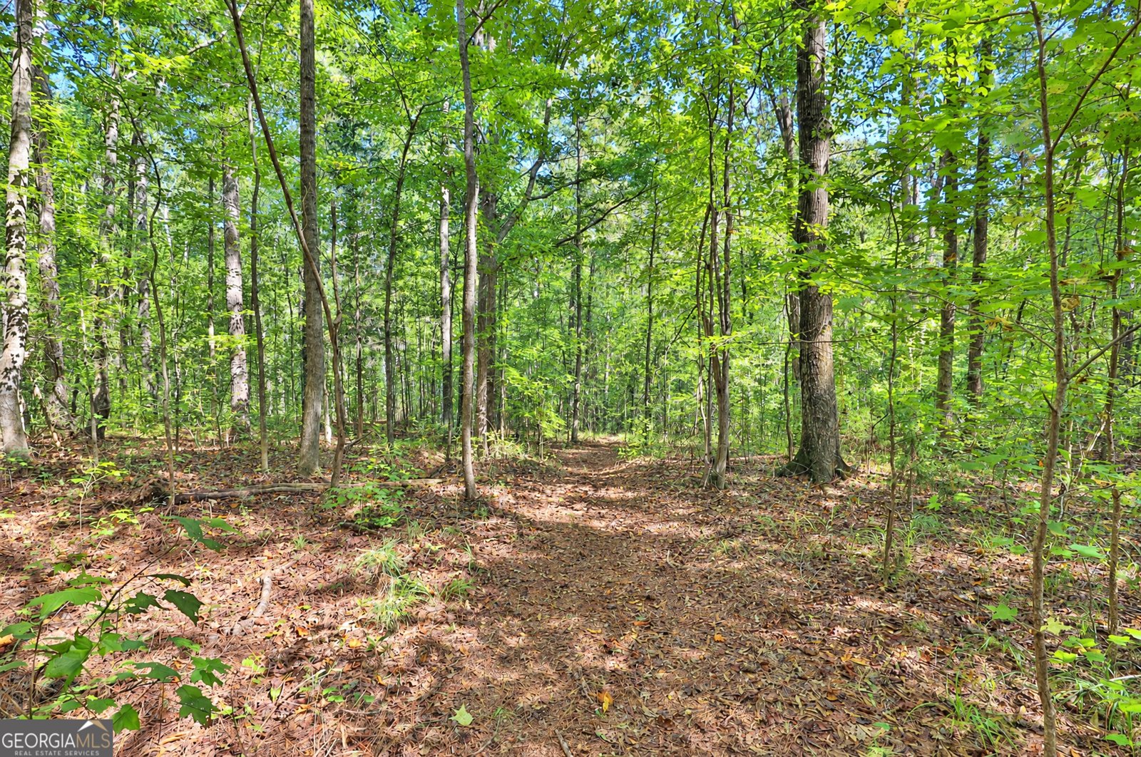 200 Prestigious Place Senoia - Photo 39