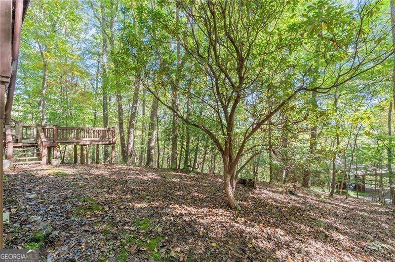 726 Cherry Lake Drive Blue Ridge - Photo 13