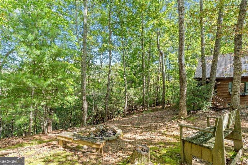 726 Cherry Lake Drive Blue Ridge - Photo 35