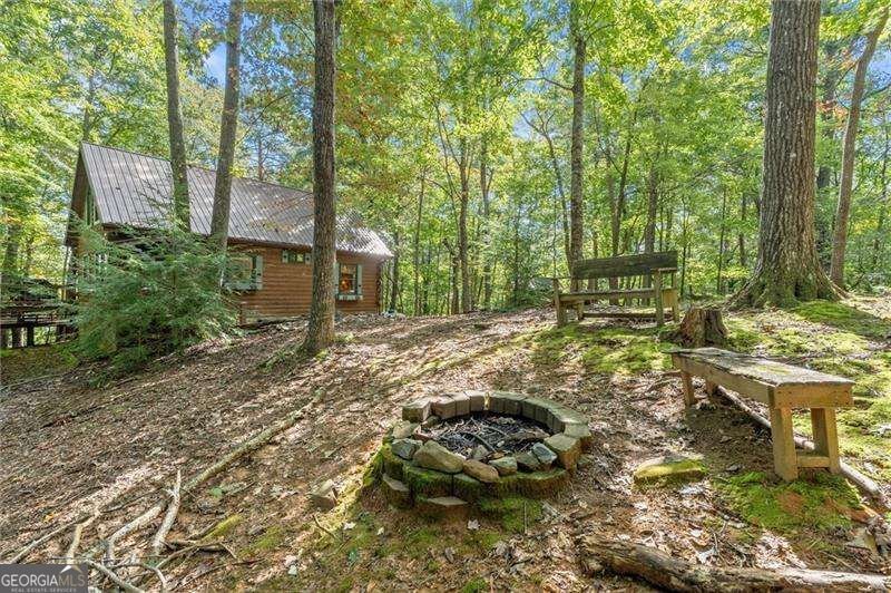 726 Cherry Lake Drive Blue Ridge - Photo 36