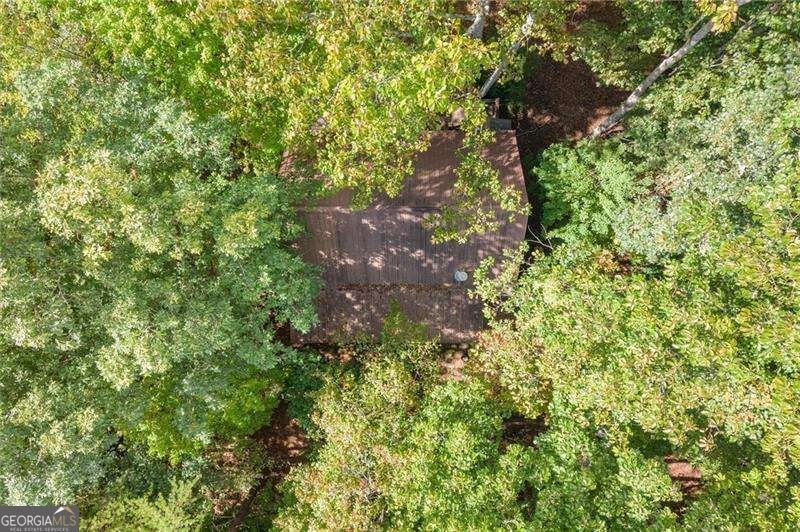 726 Cherry Lake Drive Blue Ridge - Photo 37