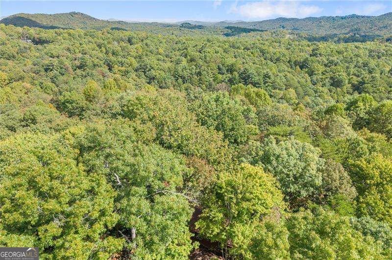 726 Cherry Lake Drive Blue Ridge - Photo 38