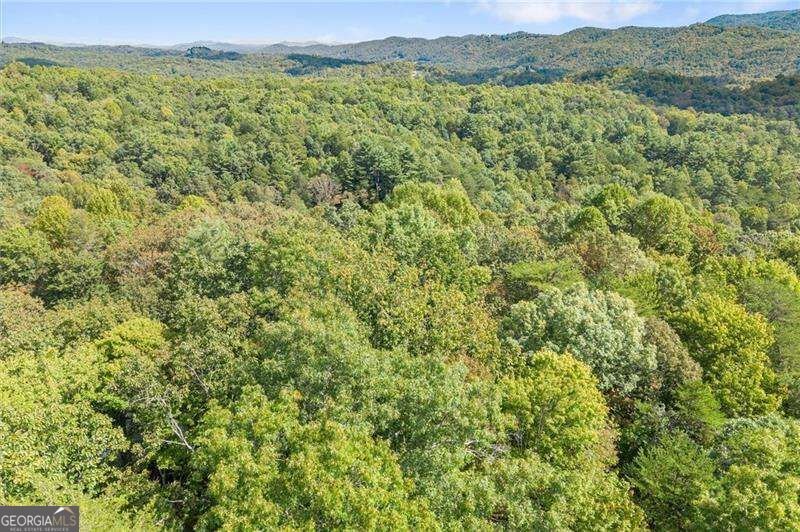 726 Cherry Lake Drive Blue Ridge - Photo 39