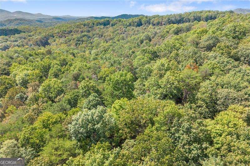726 Cherry Lake Drive Blue Ridge - Photo 40