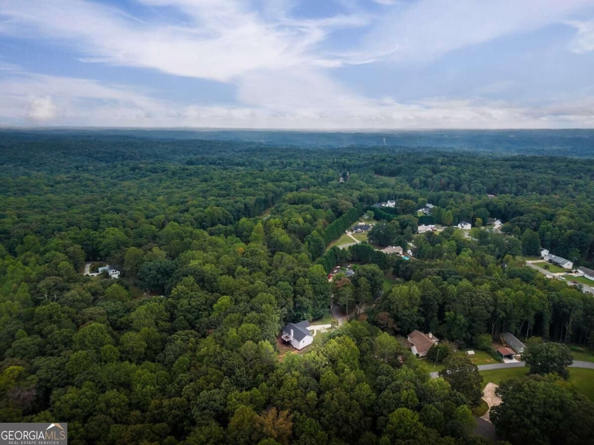 250 Buddy Burt Road Dawsonville - Photo 25