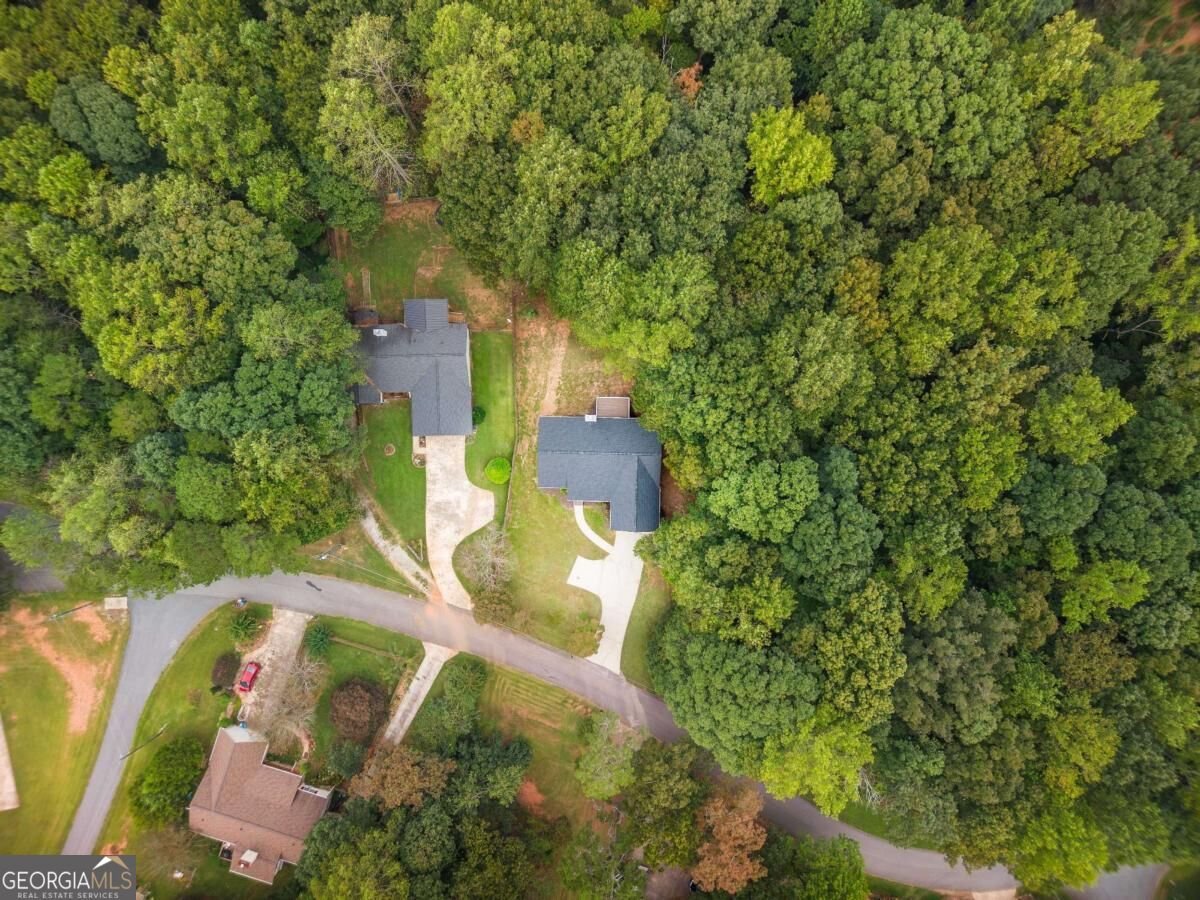 250 Buddy Burt Road Dawsonville - Photo 26