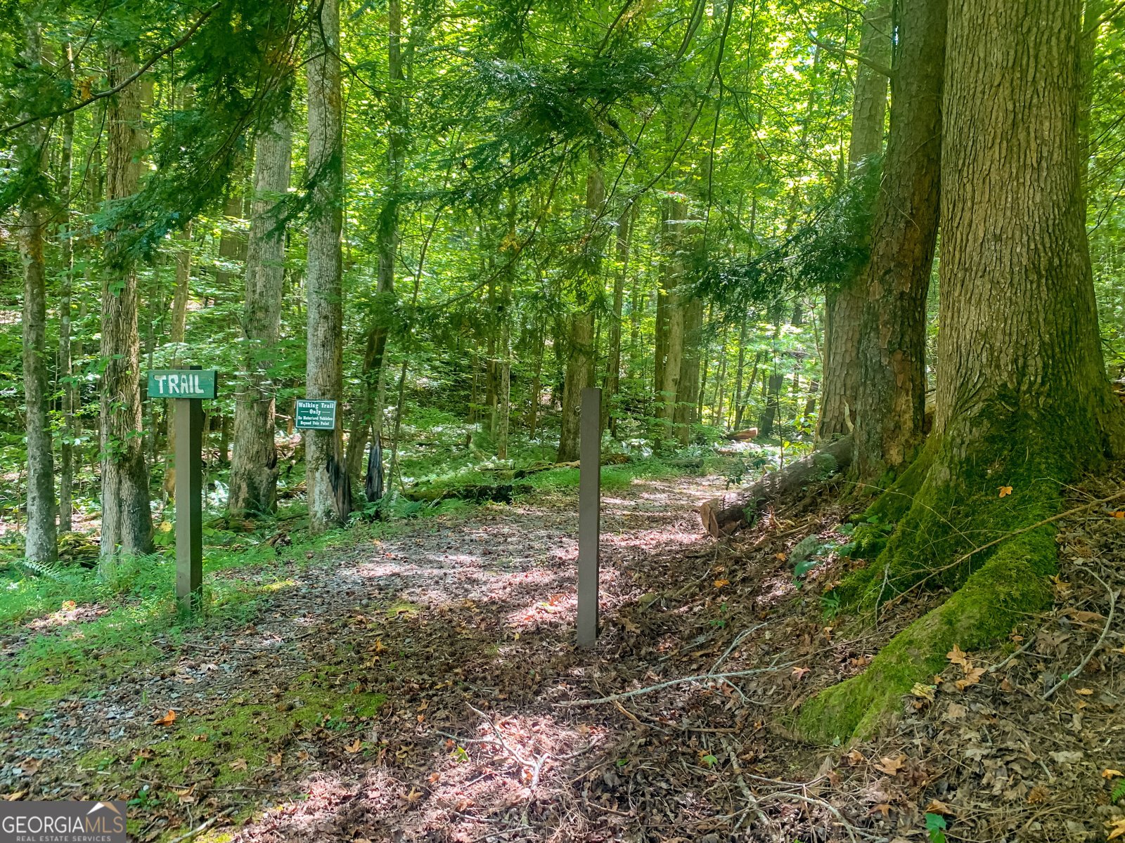 257 Pine Ridge Road Ellijay - Photo 46