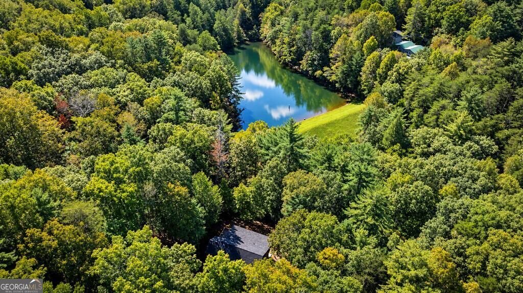257 Pine Ridge Road Ellijay - Photo 67