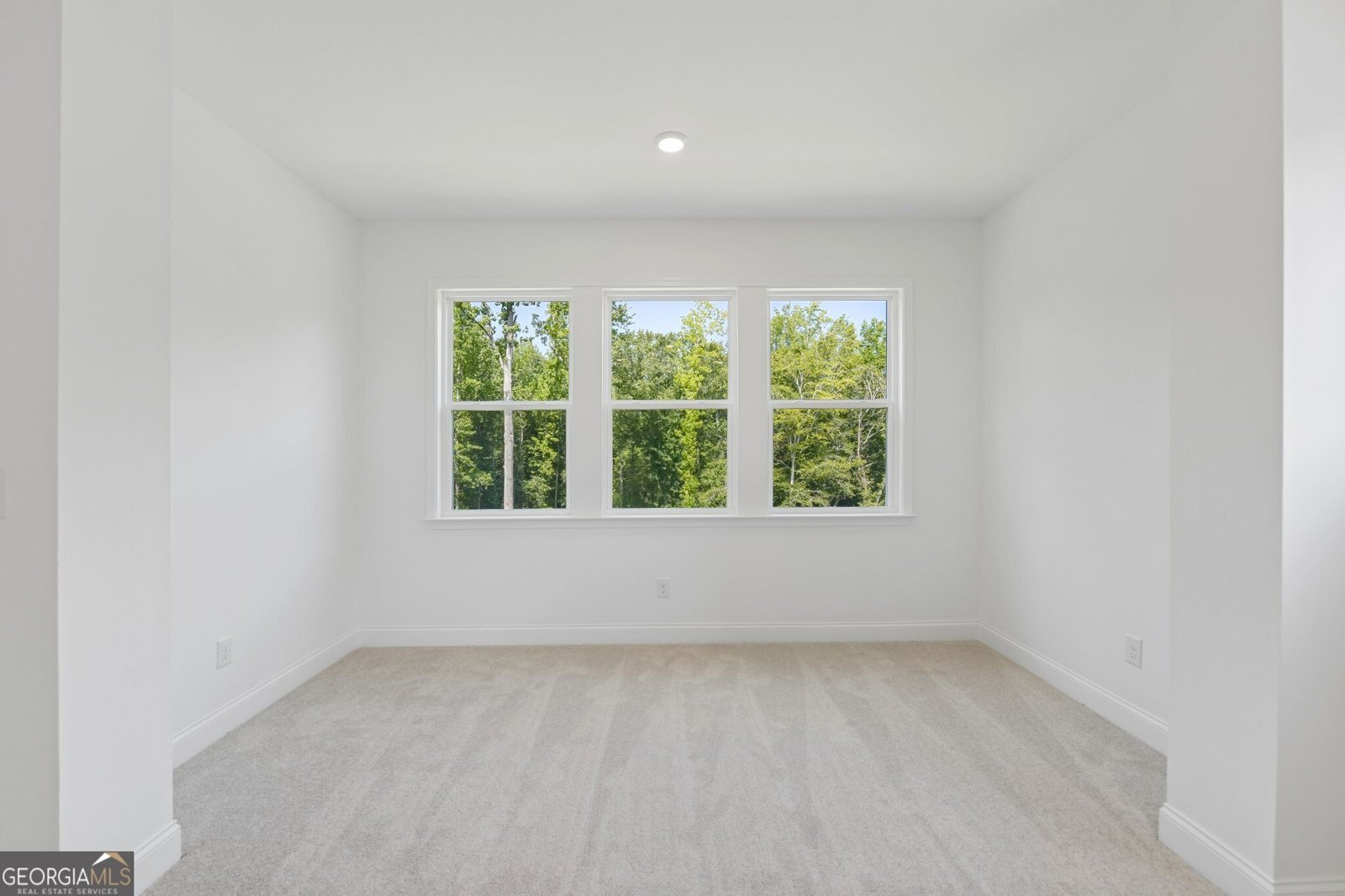 321 Meacham Court Dacula - Photo 29