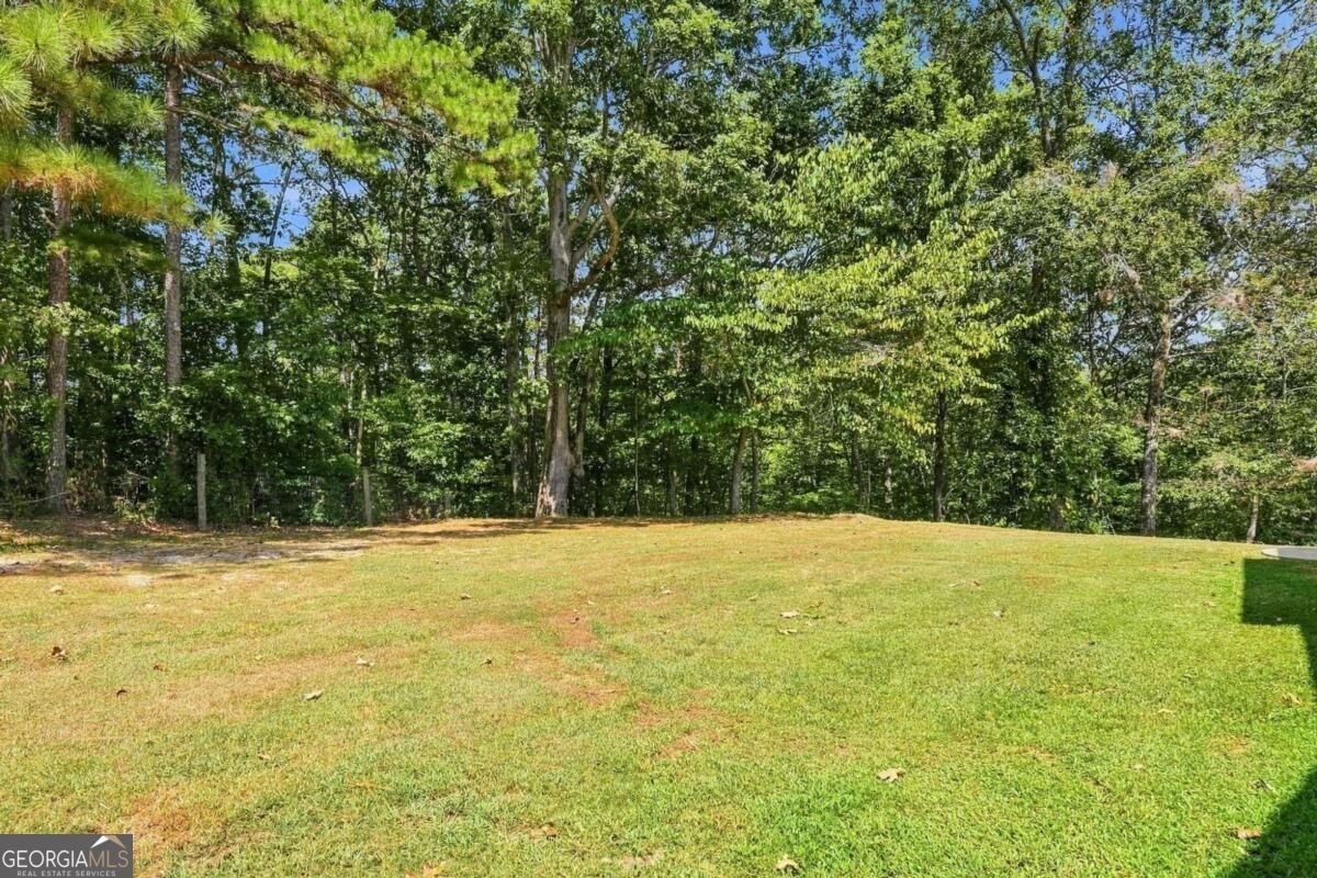 3099 Hornage Road Ball Ground - Photo 40