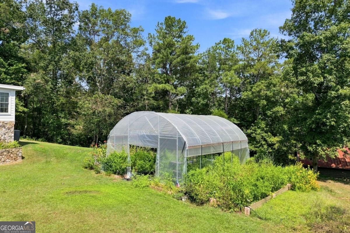 3099 Hornage Road Ball Ground - Photo 48