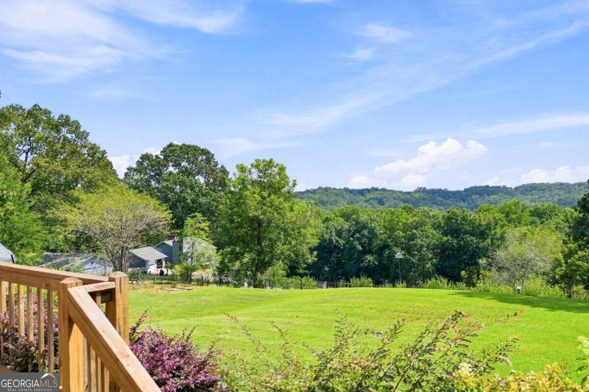 3099 Hornage Road Ball Ground - Photo 51