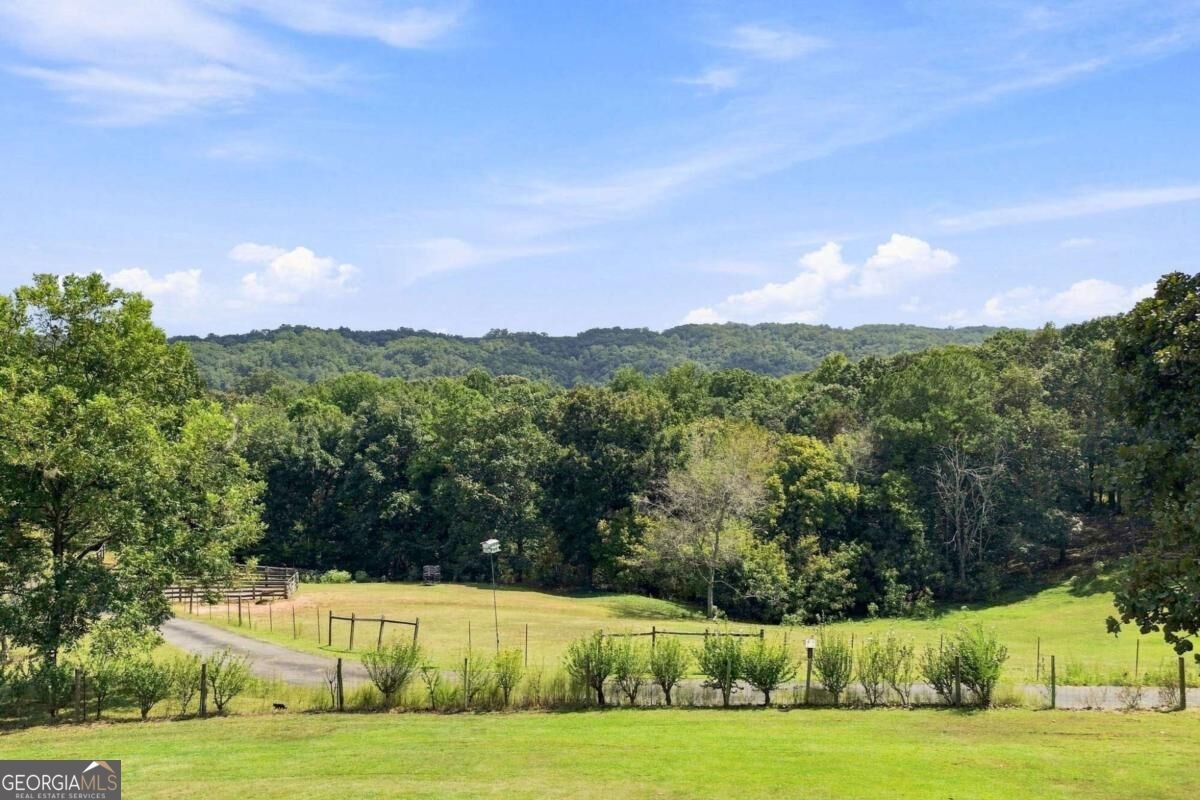 3099 Hornage Road Ball Ground - Photo 52