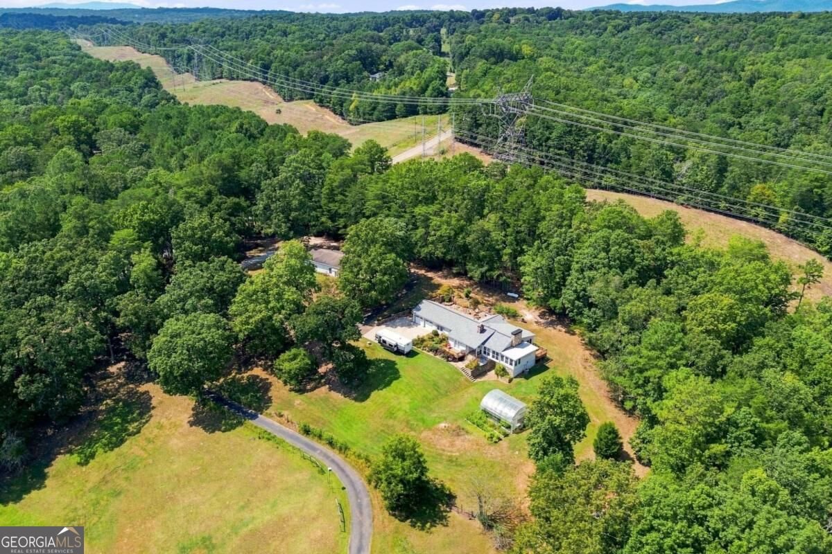 3099 Hornage Road Ball Ground - Photo 54