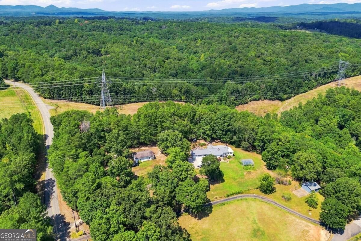 3099 Hornage Road Ball Ground - Photo 55