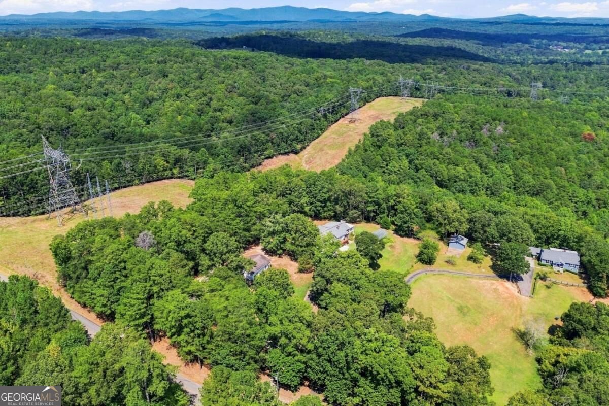 3099 Hornage Road Ball Ground - Photo 56
