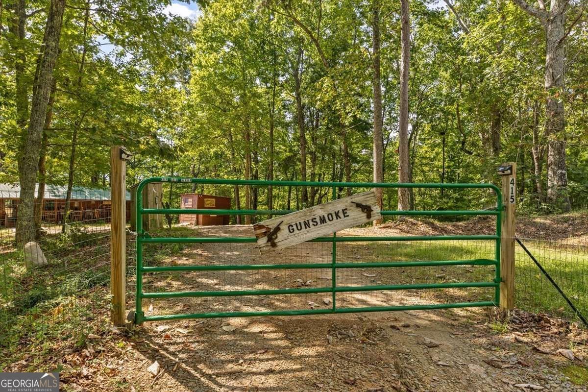 415 Morton Drive Ellijay - Photo 30