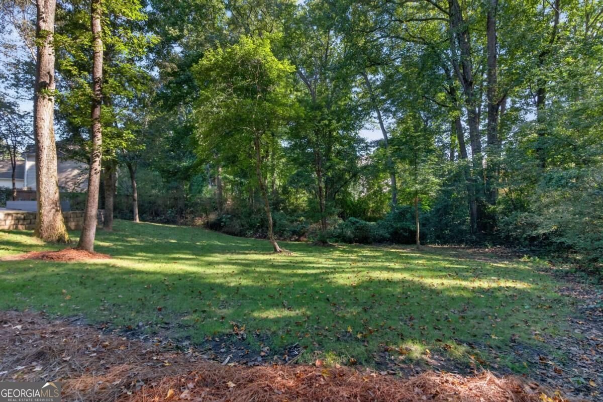 2635 Harbor Point Court Cumming - Photo 44