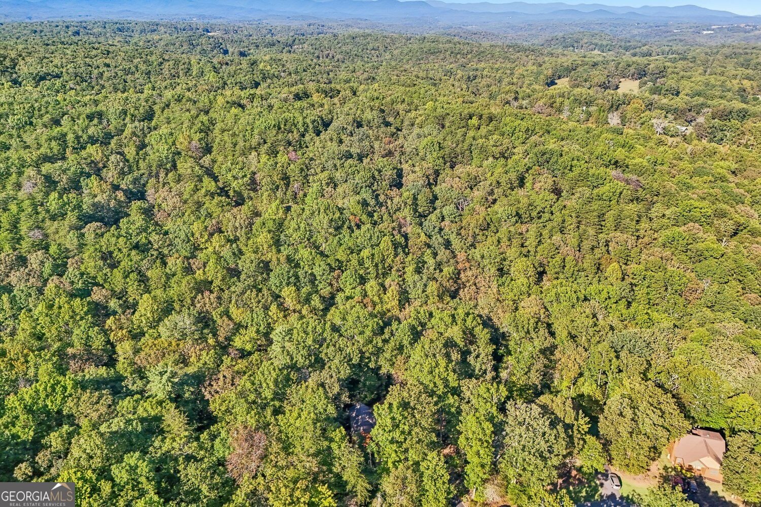 153 Hannahs Crossing Drive Dahlonega - Photo 46