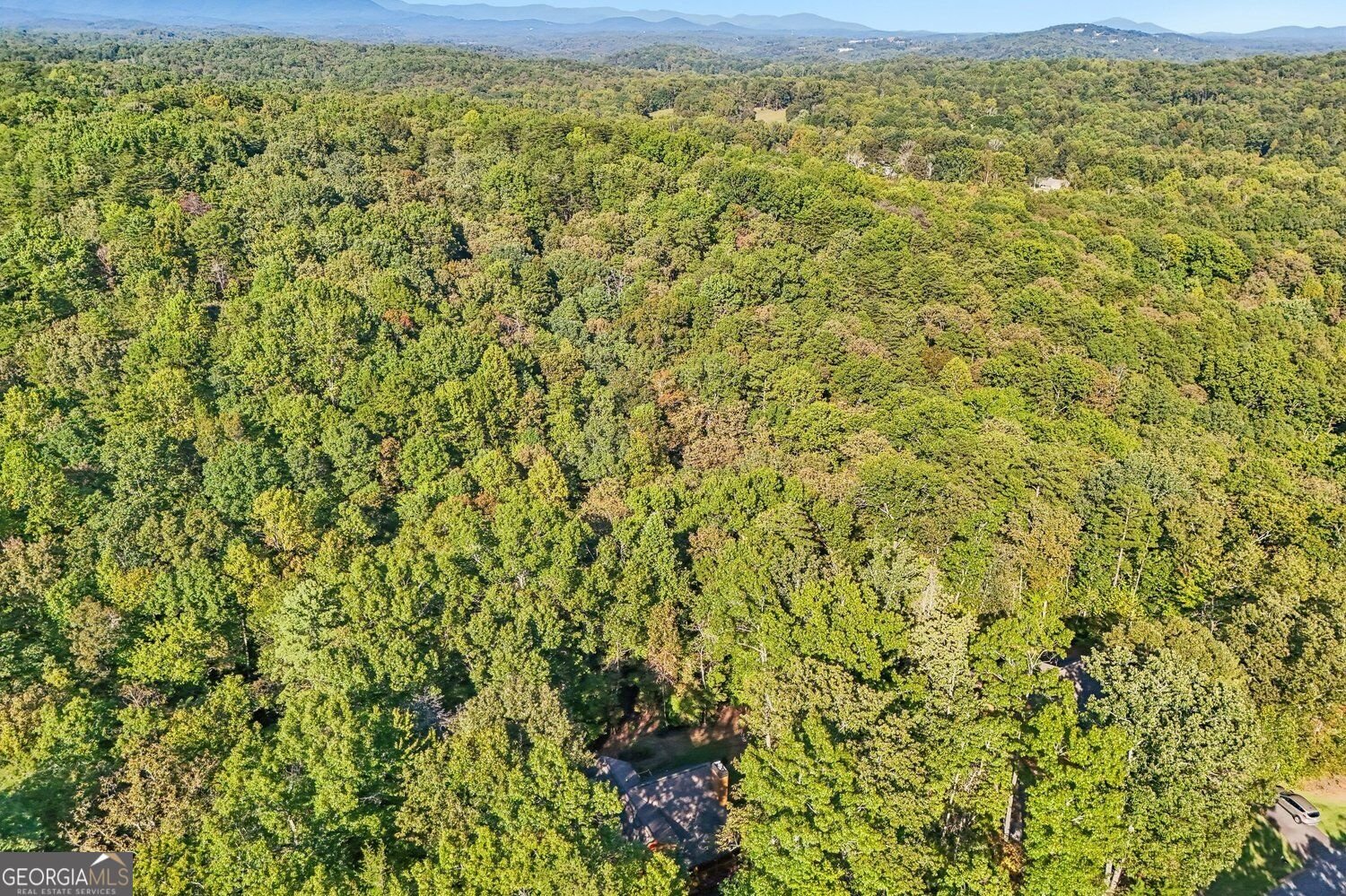 153 Hannahs Crossing Drive Dahlonega - Photo 53