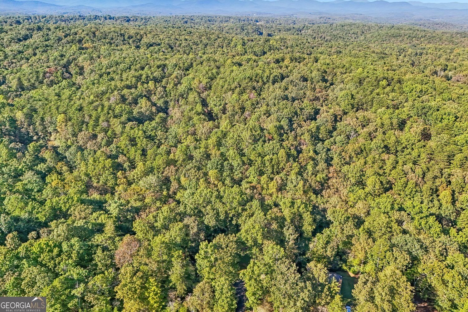 153 Hannahs Crossing Drive Dahlonega - Photo 54