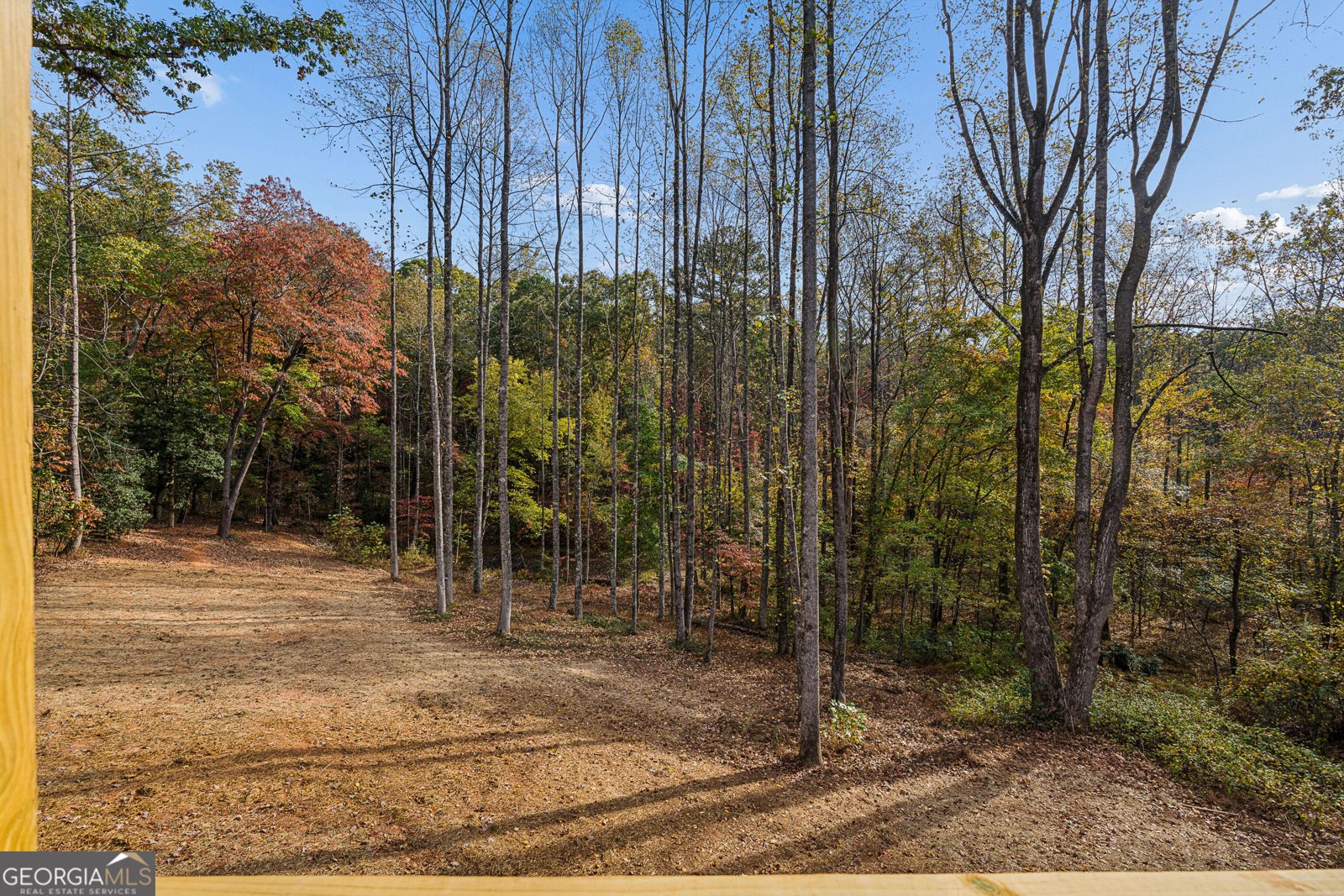 168 New Liberty States Clarkesville - Photo 37