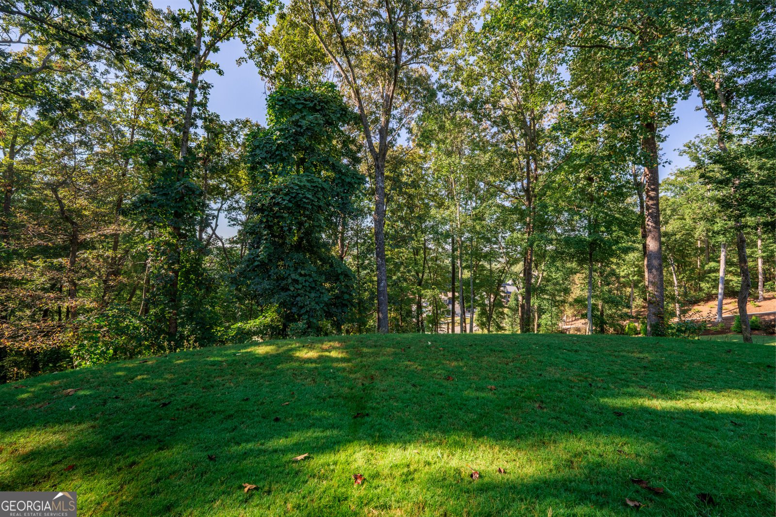 311 Old White Oak Trail Dawsonville - Photo 33
