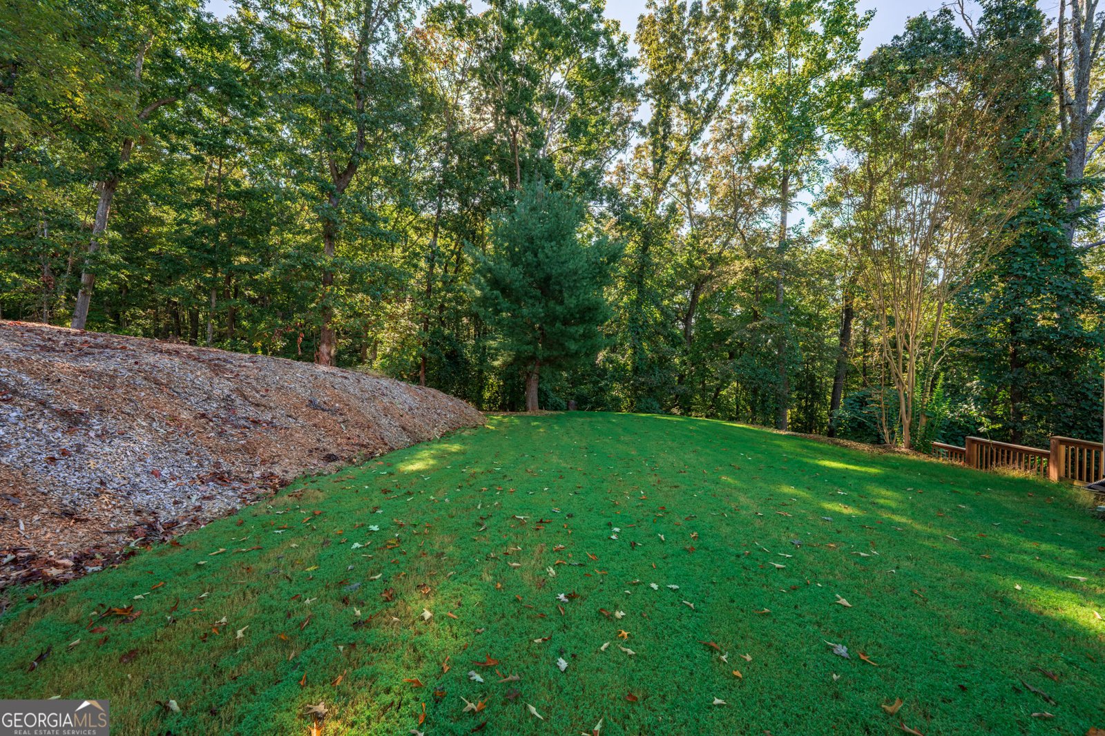 311 Old White Oak Trail Dawsonville - Photo 34