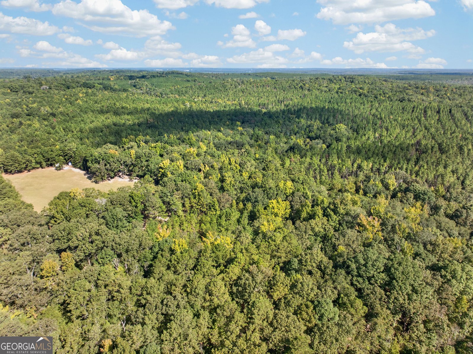 881 King Road Gordon - Photo 22