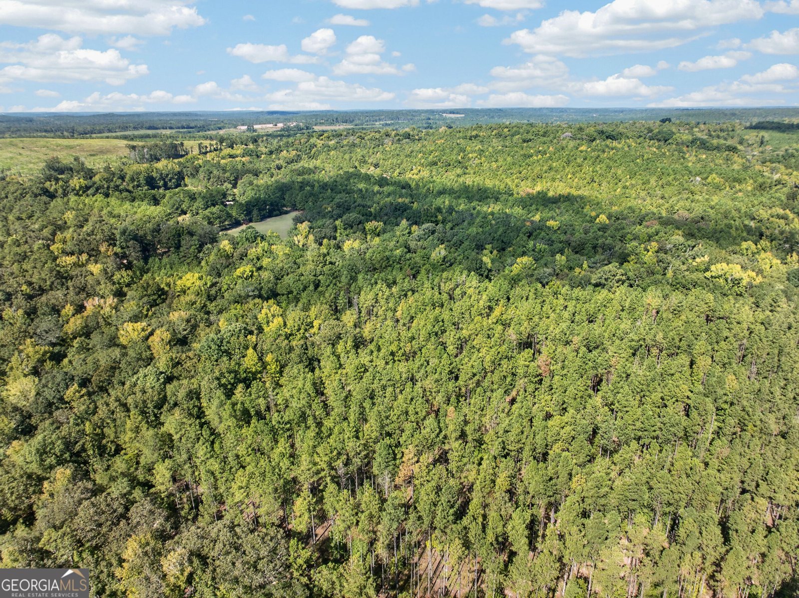 881 King Road Gordon - Photo 23