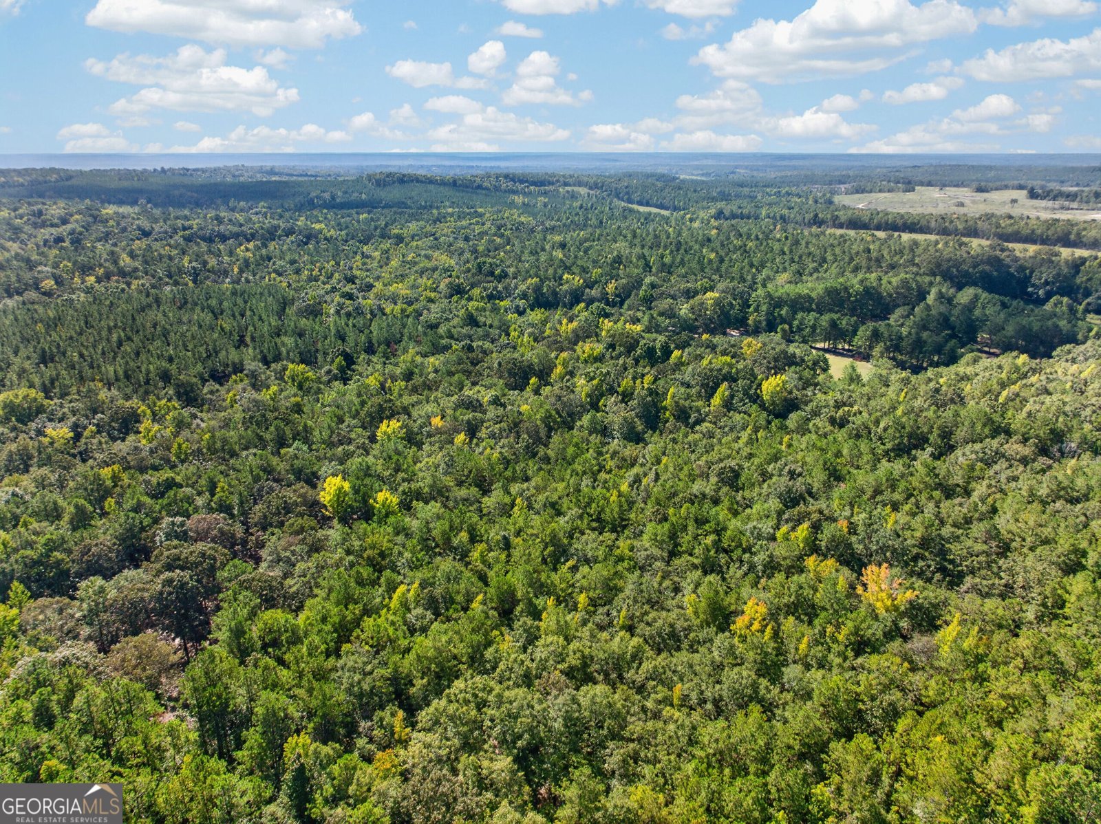 881 King Road Gordon - Photo 24