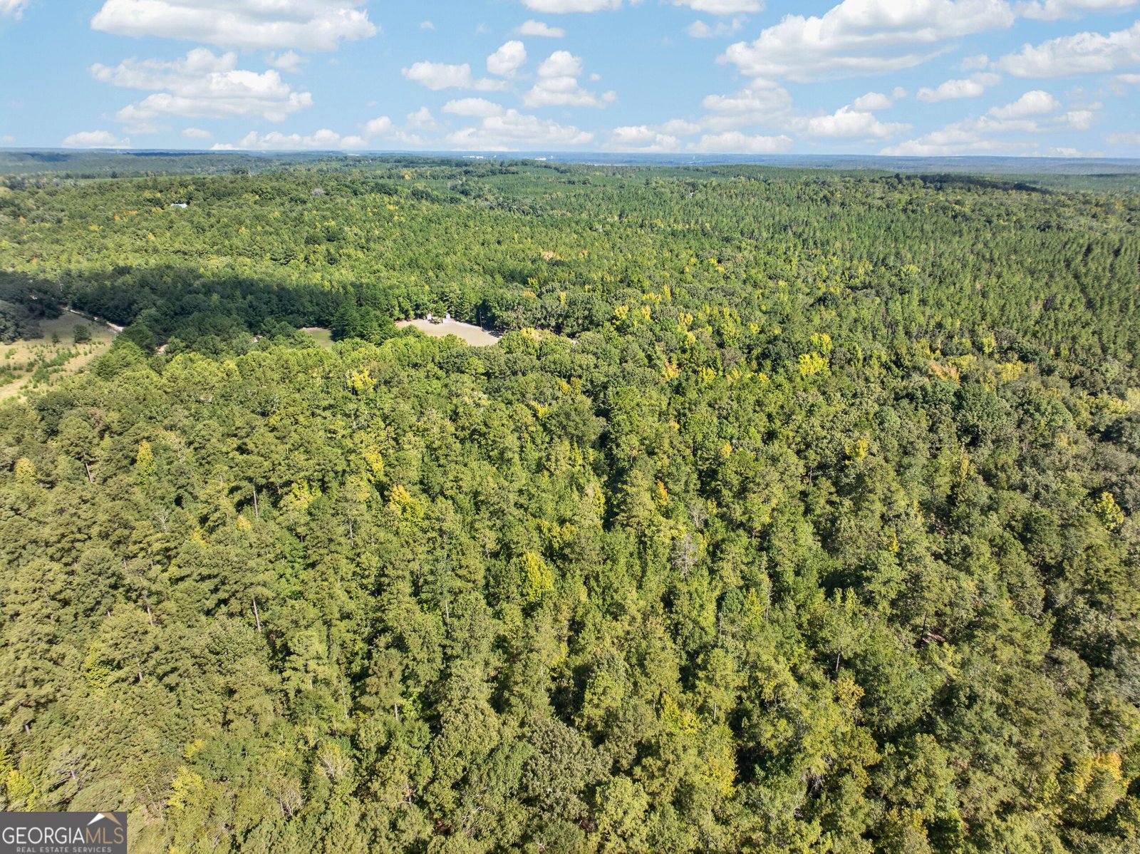 881 King Road Gordon - Photo 30