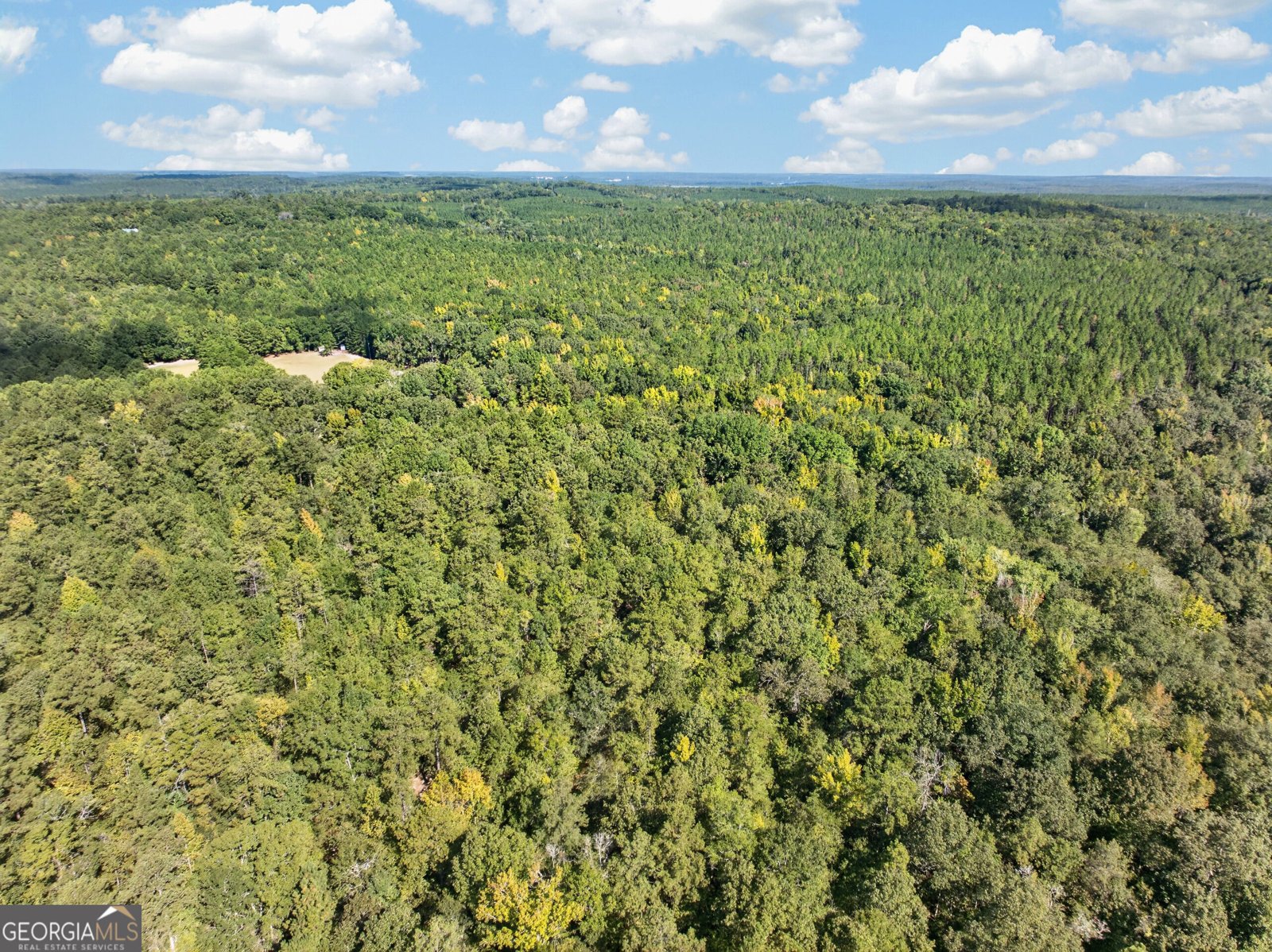 881 King Road Gordon - Photo 31