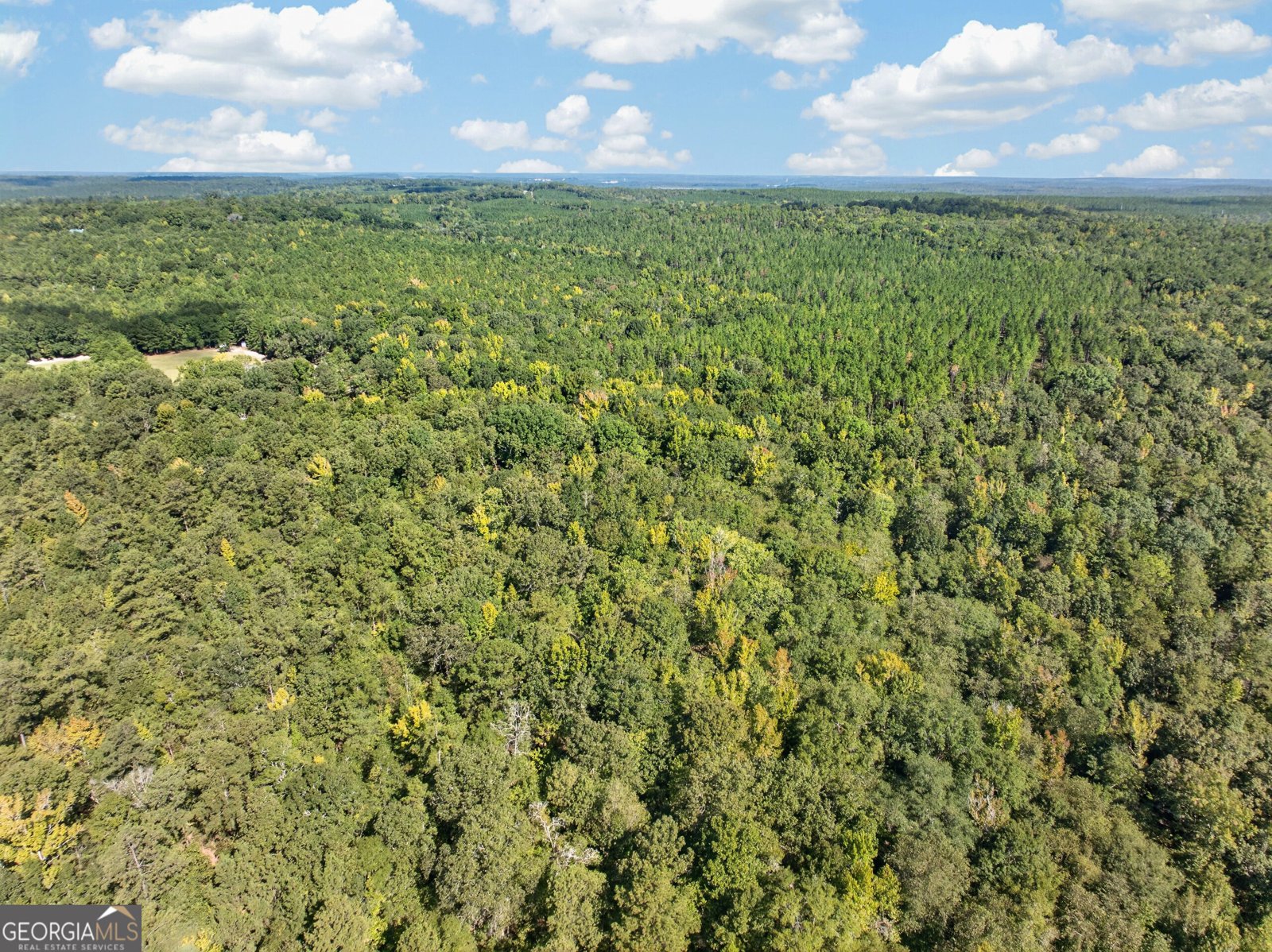 881 King Road Gordon - Photo 32