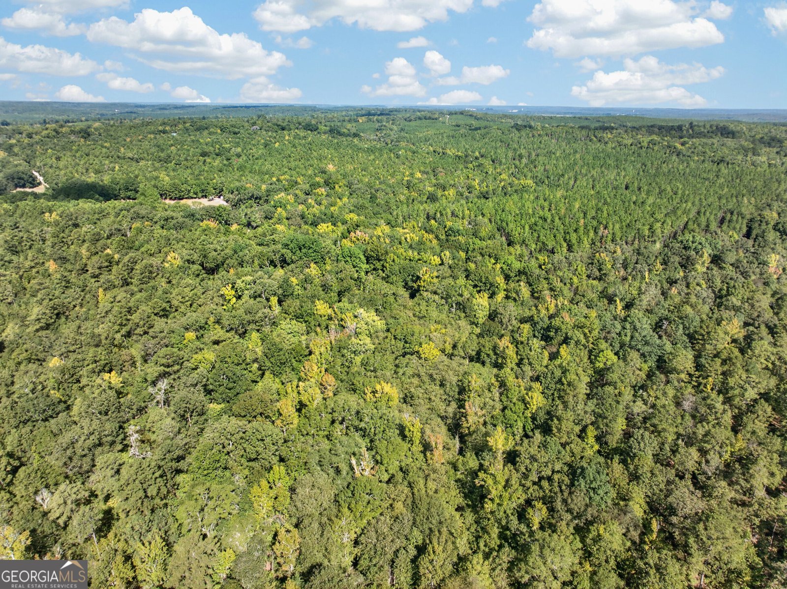881 King Road Gordon - Photo 33