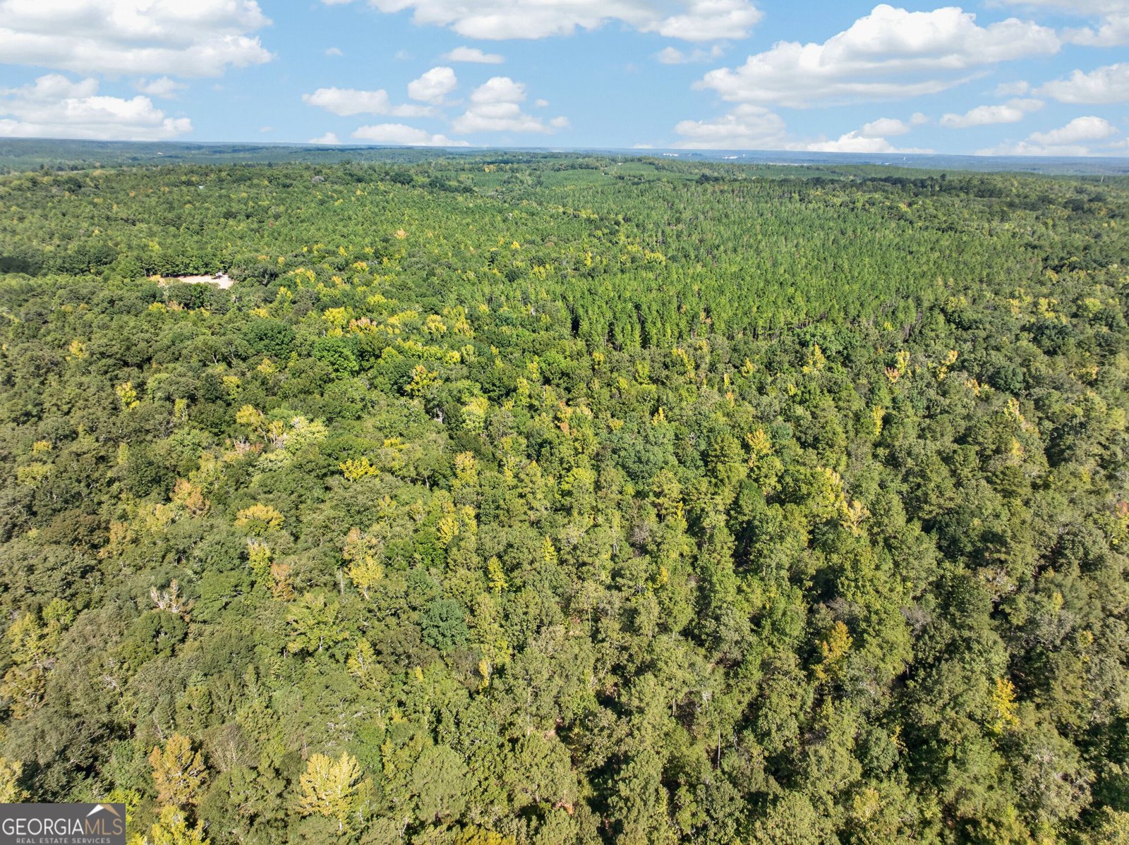 881 King Road Gordon - Photo 34