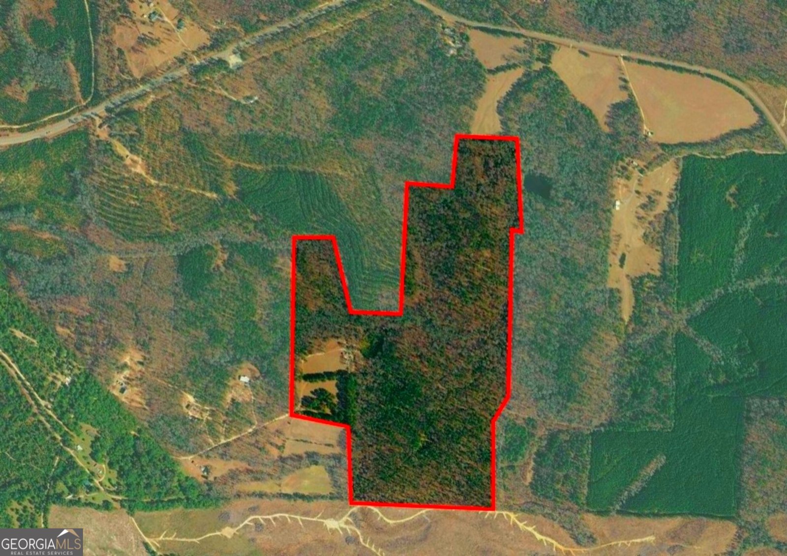881 King Road Gordon - Photo 44