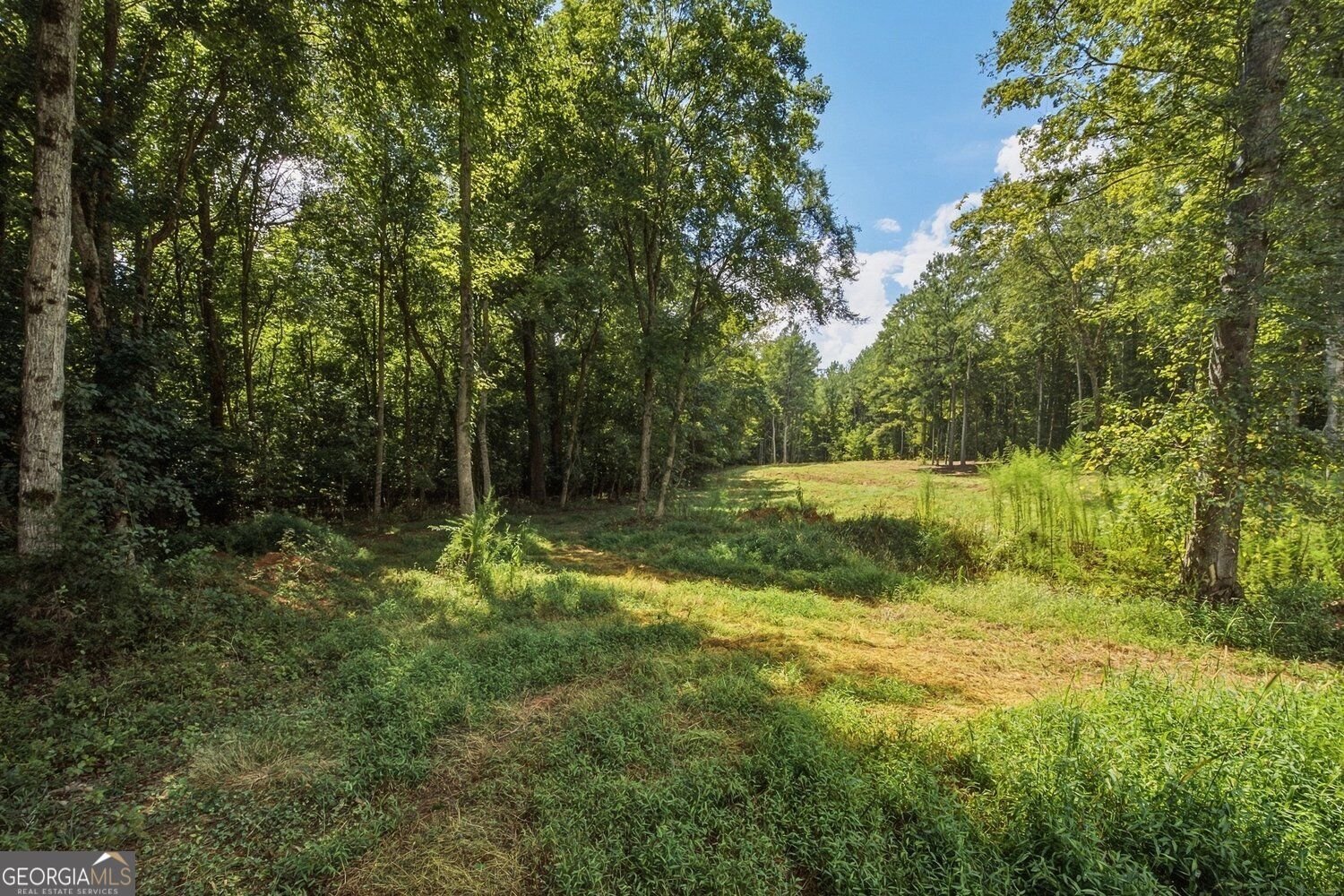 5147 Stout Parkway Powder Springs - Photo 50