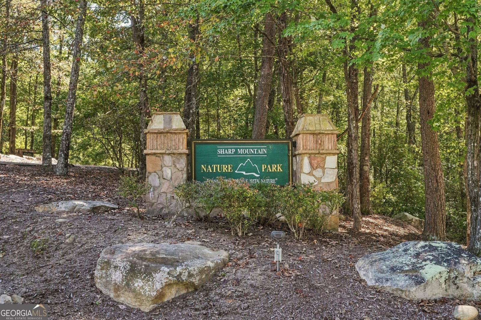 415 Sharp Mountain Parkway Jasper - Photo 16