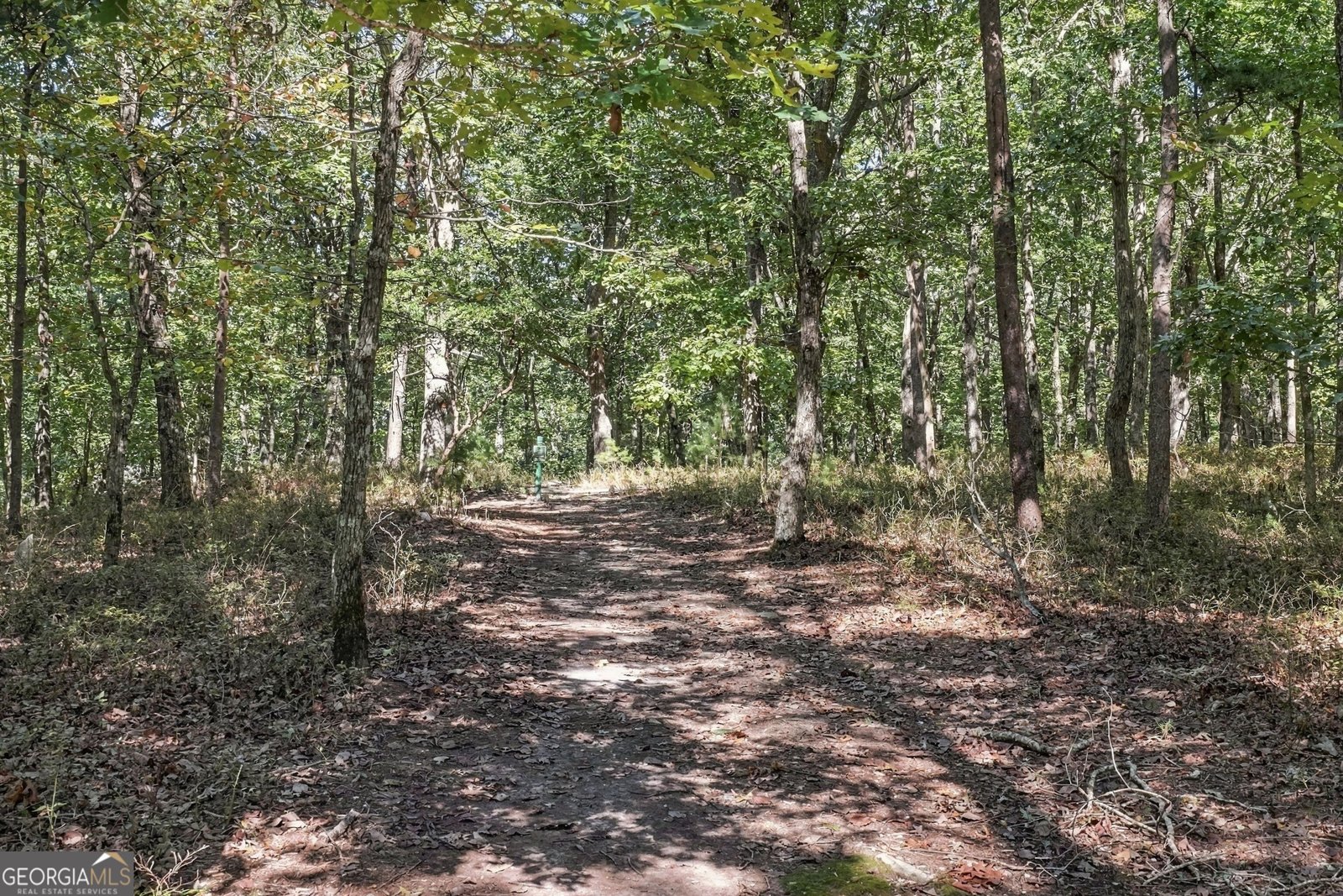 415 Sharp Mountain Parkway Jasper - Photo 21