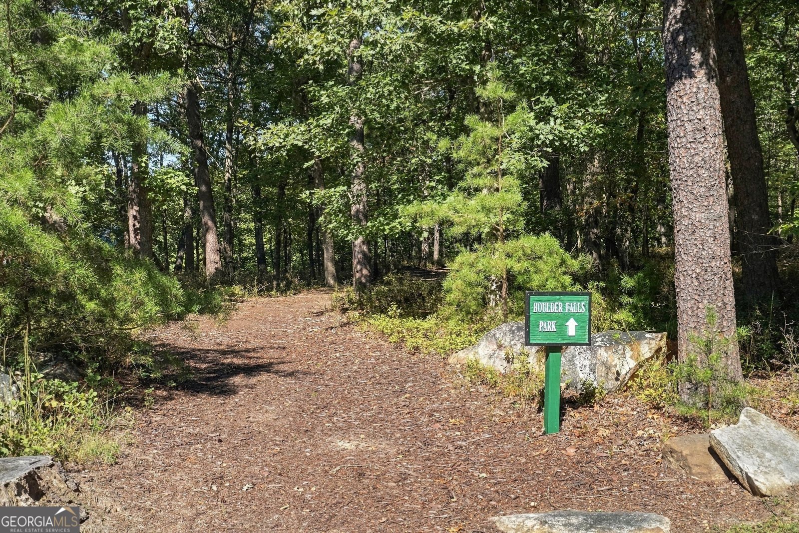415 Sharp Mountain Parkway Jasper - Photo 22