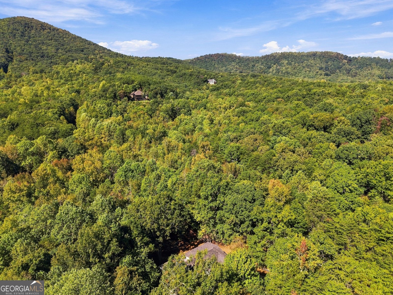 415 Sharp Mountain Parkway Jasper - Photo 6