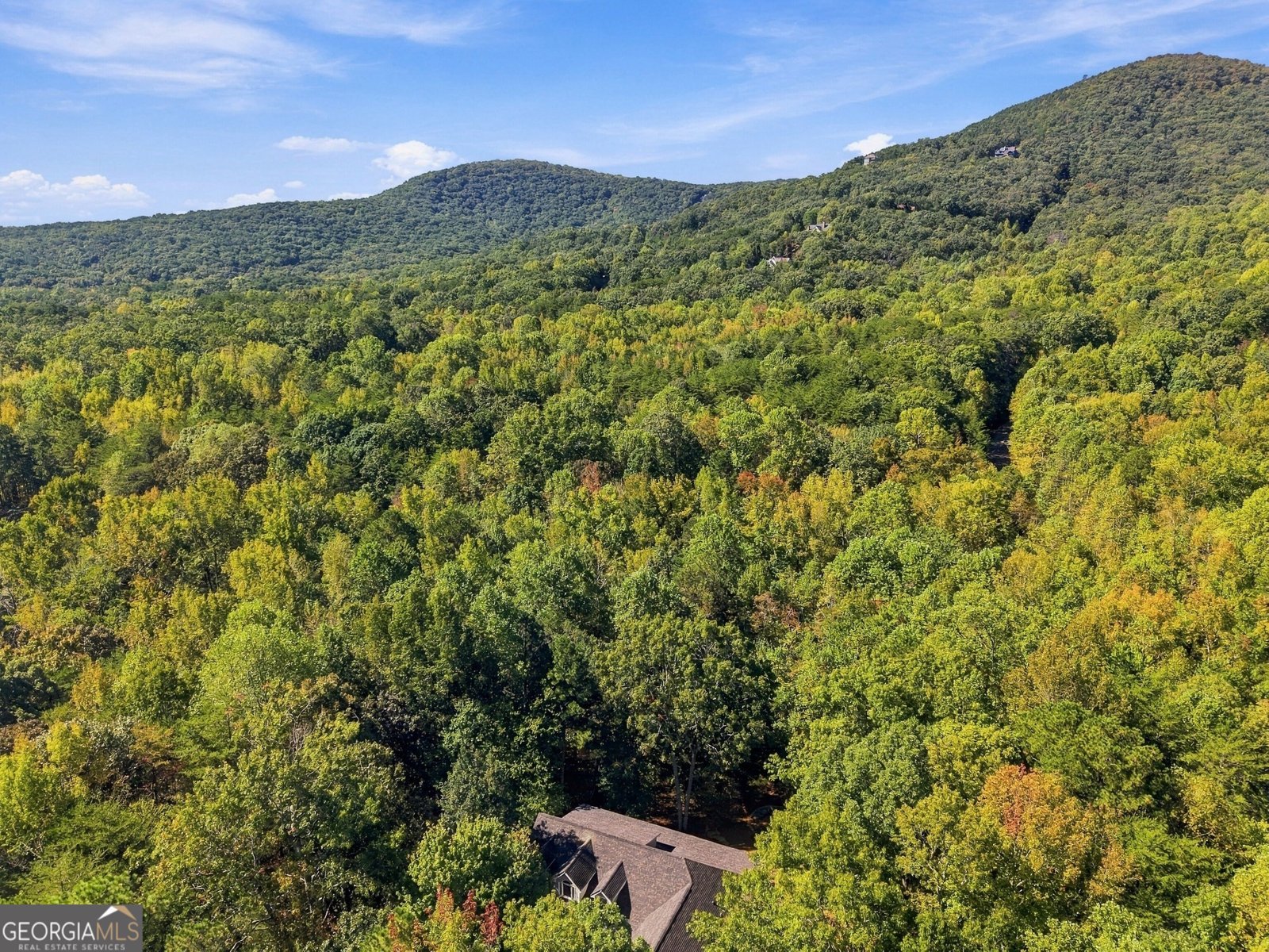 415 Sharp Mountain Parkway Jasper - Photo 7