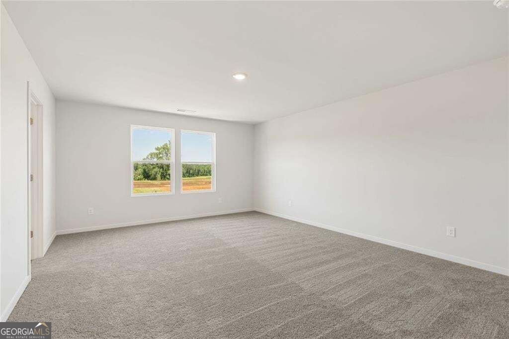 100 Allington Drive McDonough - Photo 14