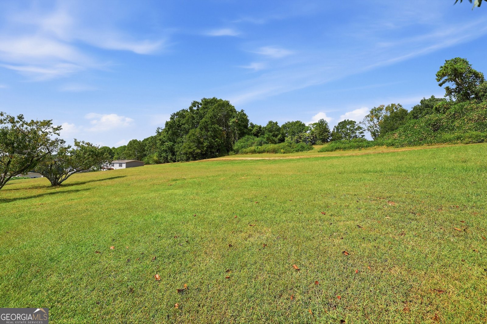217 Combs Avenue Martin - Photo 40